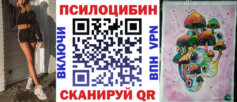Купить закладки  Светогорск  Псилоцибиновые грибы мицелий 