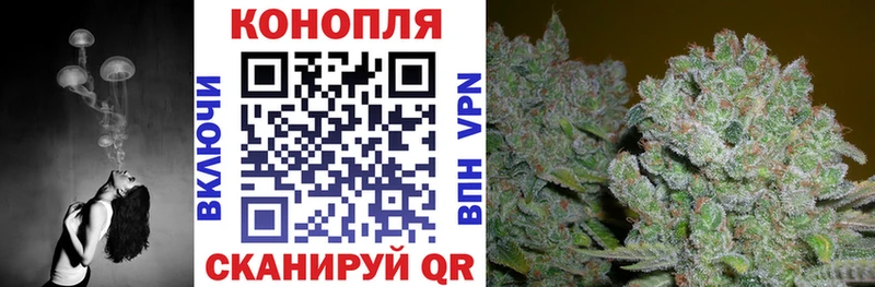 Купить где  Светогорск  Шишки марихуана индика 